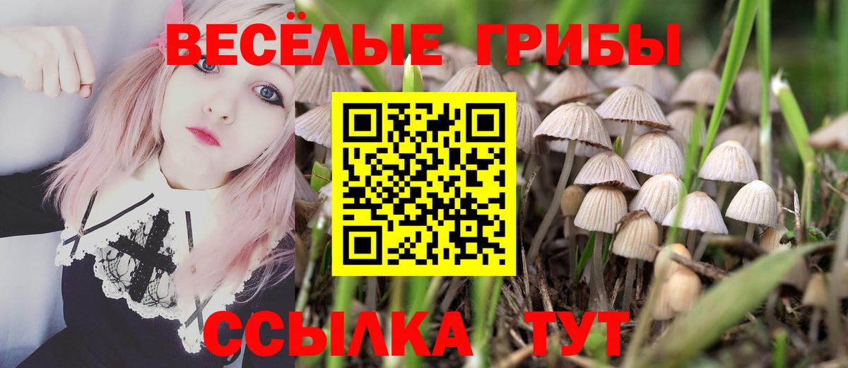 Светлоград  Галлюциногенные грибы Psilocybe  Вход с VPN 