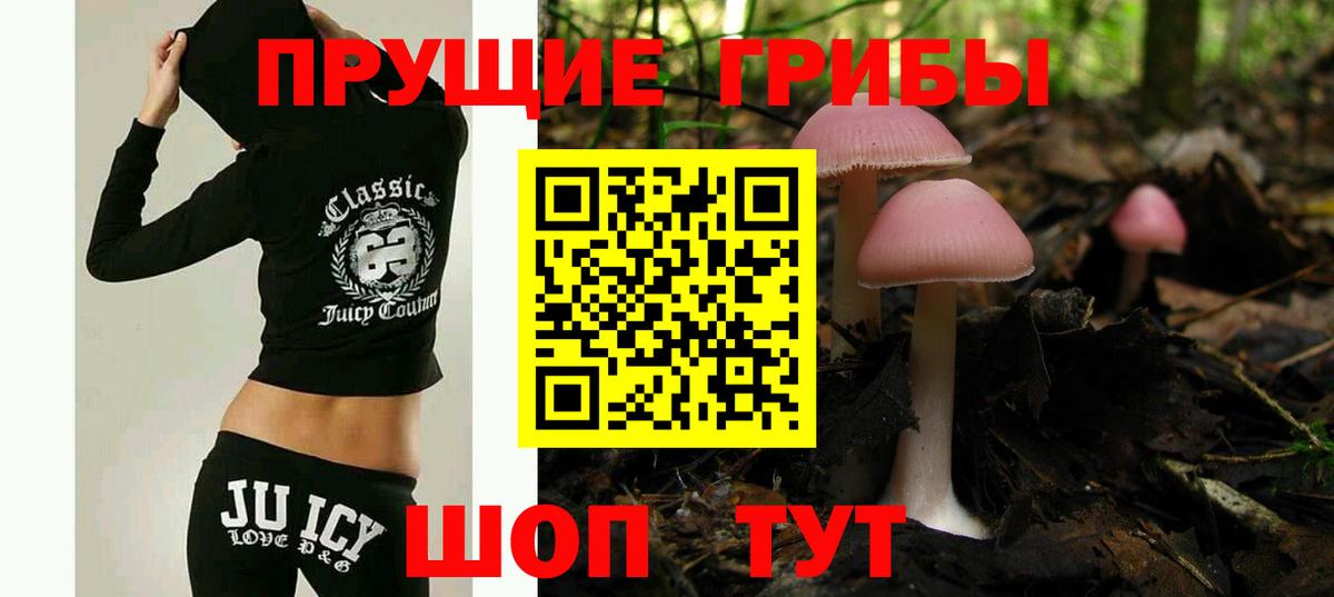 Галлюциногенные грибы Magic Shrooms Светлоград