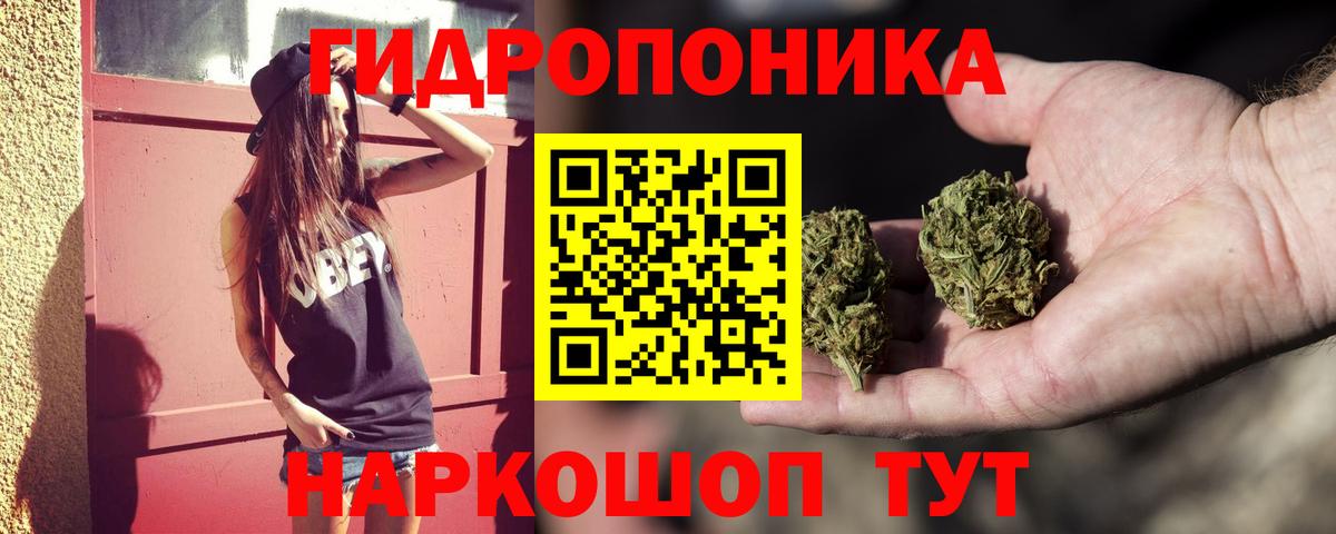 Бошки Шишки тримм Светлоград